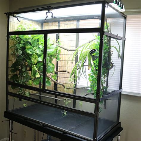 extra large chameleon cages